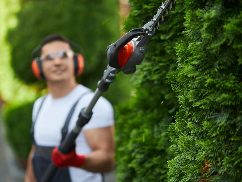 Landscaping and outdoor care service